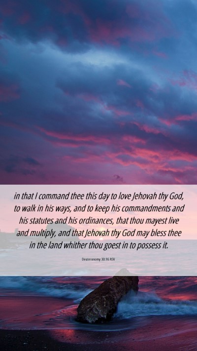 Picture 06 - Deuteronomy 30:16 ASV Mobile Phone Wallpaper - in that I command thee this day to love Jehovah - Mobile Bible Verse Wallpaper