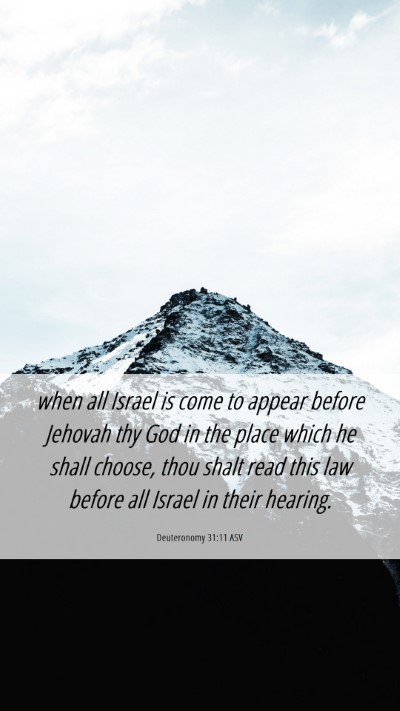 Picture 06 - Deuteronomy 31:11 ASV Mobile Phone Wallpaper - when all Israel is come to appear before Jehovah - Mobile Bible Verse Wallpaper