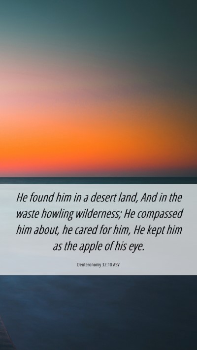 Picture 06 - Deuteronomy 32:10 ASV Mobile Phone Wallpaper - He found him in a desert land, And in the waste - Mobile Bible Verse Wallpaper