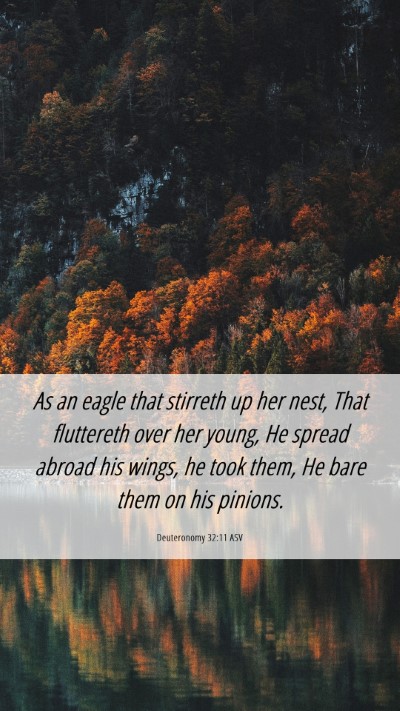 Picture 06 - Deuteronomy 32:11 ASV Mobile Phone Wallpaper - As an eagle that stirreth up her nest, That - Mobile Bible Verse Wallpaper