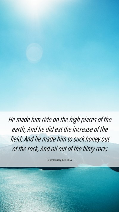 Picture 06 - Deuteronomy 32:13 ASV Mobile Phone Wallpaper - He made him ride on the high places of the earth, - Mobile Bible Verse Wallpaper