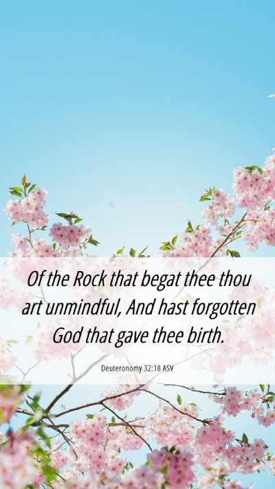 Picture 06 - Deuteronomy 32:18 ASV Mobile Phone Wallpaper - Of the Rock that begat thee thou art unmindful, - Mobile Bible Verse Wallpaper