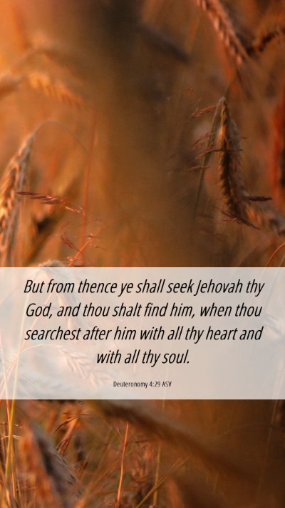 Picture 06 - Deuteronomy 4:29 ASV Mobile Phone Wallpaper - But from thence ye shall seek Jehovah thy God, - Mobile Bible Verse Wallpaper