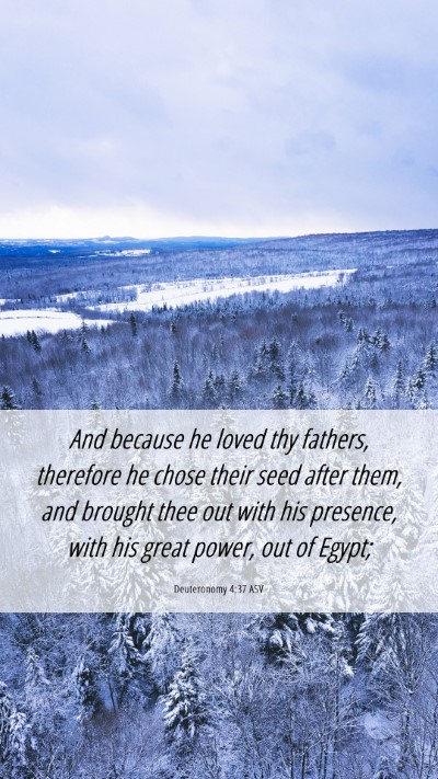 Picture 06 - Deuteronomy 4:37 ASV Mobile Phone Wallpaper - And because he loved thy fathers, therefore he - Mobile Bible Verse Wallpaper