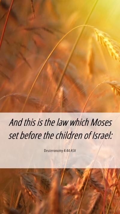 Picture 06 - Deuteronomy 4:44 ASV Mobile Phone Wallpaper - And this is the law which Moses set before the - Mobile Bible Verse Wallpaper
