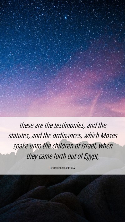 Picture 06 - Deuteronomy 4:45 ASV Mobile Phone Wallpaper - these are the testimonies, and the statutes, and - Mobile Bible Verse Wallpaper