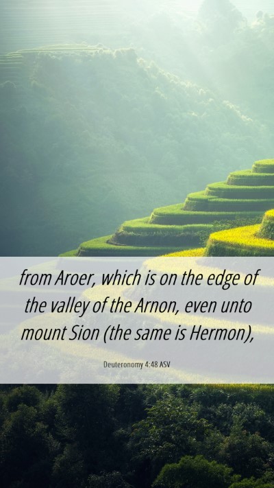 Picture 06 - Deuteronomy 4:48 ASV Mobile Phone Wallpaper - from Aroer, which is on the edge of the valley of - Mobile Bible Verse Wallpaper
