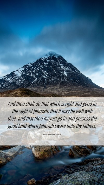 Picture 06 - Deuteronomy 6:18 ASV Mobile Phone Wallpaper - And thou shalt do that which is right and good in - Mobile Bible Verse Wallpaper