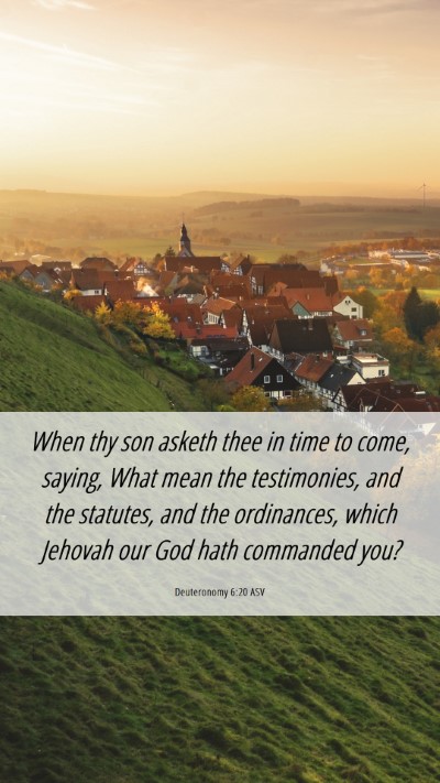 Picture 06 - Deuteronomy 6:20 ASV Mobile Phone Wallpaper - When thy son asketh thee in time to come, saying, - Mobile Bible Verse Wallpaper