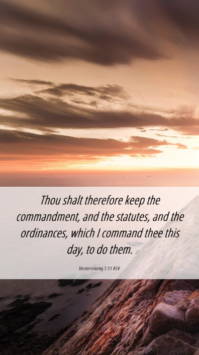 Picture 06 - Deuteronomy 7:11 ASV Mobile Phone Wallpaper - Thou shalt therefore keep the commandment, and - Mobile Bible Verse Wallpaper
