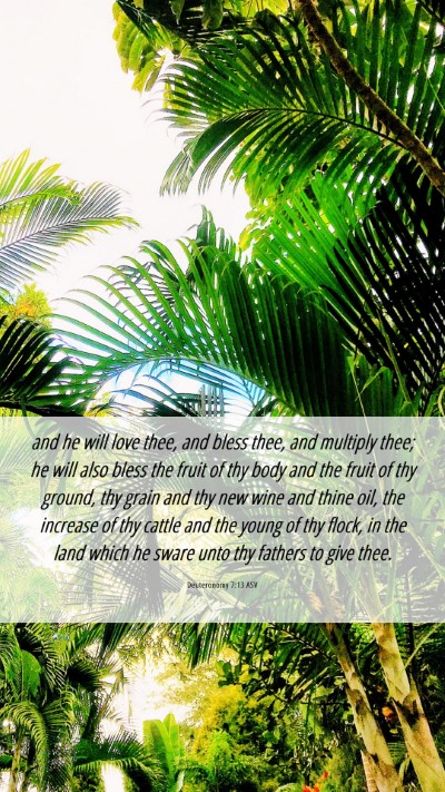 Picture 06 - Deuteronomy 7:13 ASV Mobile Phone Wallpaper - and he will love thee, and bless thee, and - Mobile Bible Verse Wallpaper
