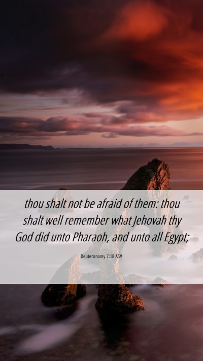 Picture 06 - Deuteronomy 7:18 ASV Mobile Phone Wallpaper - thou shalt not be afraid of them: thou shalt well - Mobile Bible Verse Wallpaper