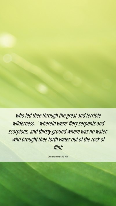Picture 06 - Deuteronomy 8:15 ASV Mobile Phone Wallpaper - who led thee through the great and terrible - Mobile Bible Verse Wallpaper