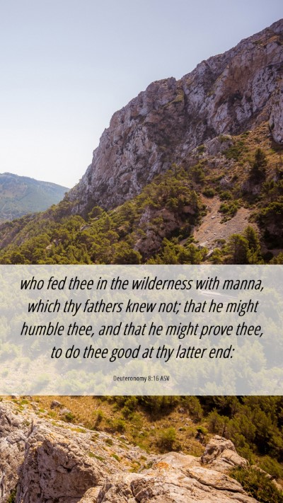 Picture 06 - Deuteronomy 8:16 ASV Mobile Phone Wallpaper - who fed thee in the wilderness with manna, which - Mobile Bible Verse Wallpaper