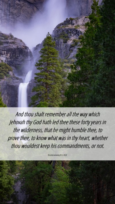 Picture 06 - Deuteronomy 8:2 ASV Mobile Phone Wallpaper - And thou shalt remember all the way which Jehovah - Mobile Bible Verse Wallpaper