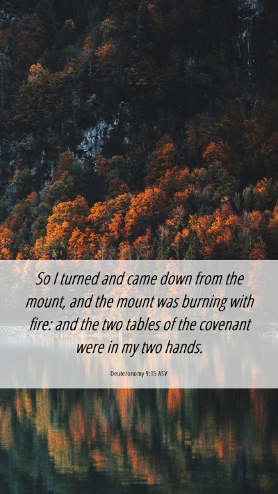 Picture 06 - Deuteronomy 9:15 ASV Mobile Phone Wallpaper - So I turned and came down from the mount, and the - Mobile Bible Verse Wallpaper