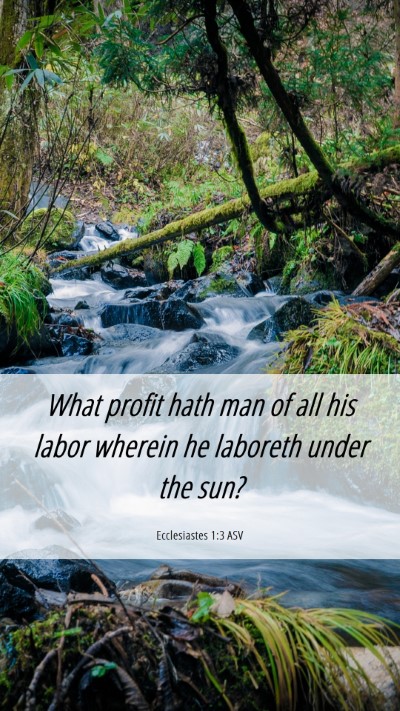 Picture 06 - Ecclesiastes 1:3 ASV Mobile Phone Wallpaper - What profit hath man of all his labor wherein he - Mobile Bible Verse Wallpaper
