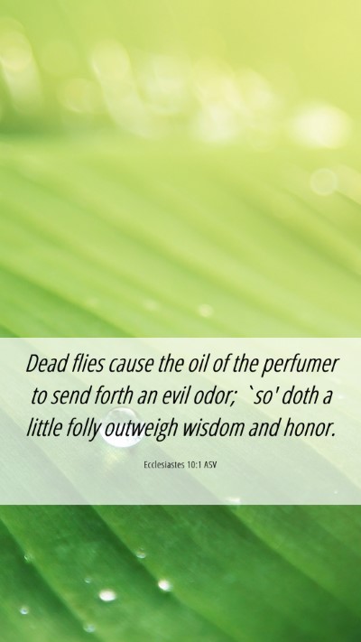 Picture 06 - Ecclesiastes 10:1 ASV Mobile Phone Wallpaper - Dead flies cause the oil of the perfumer to send - Mobile Bible Verse Wallpaper