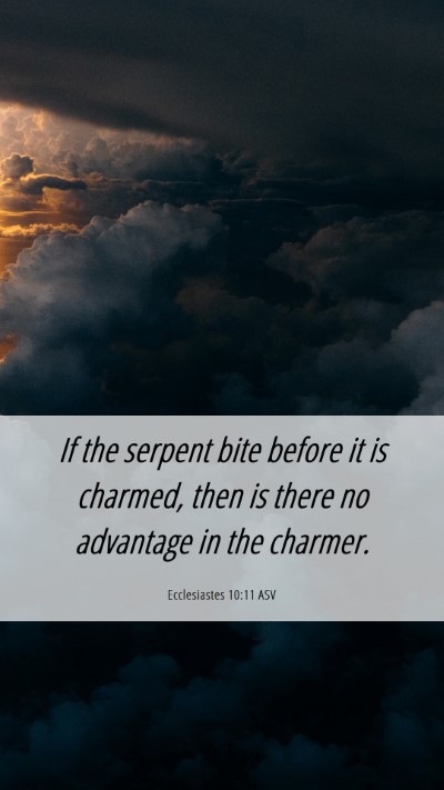 Picture 06 - Ecclesiastes 10:11 ASV Mobile Phone Wallpaper - If the serpent bite before it is charmed, then is - Mobile Bible Verse Wallpaper