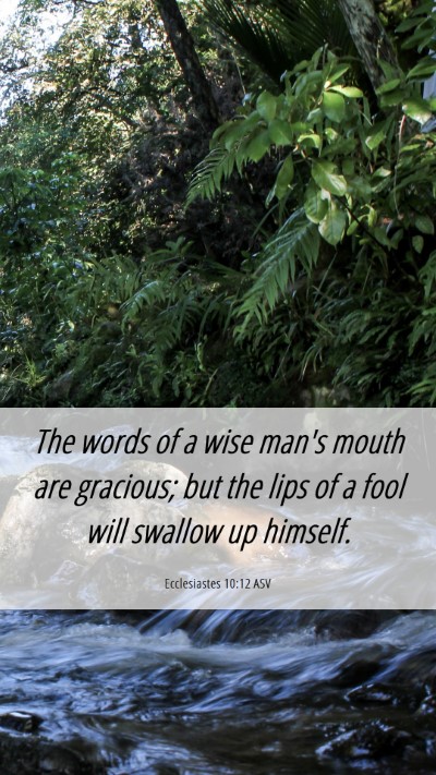 Picture 06 - Ecclesiastes 10:12 ASV Mobile Phone Wallpaper - The words of a wise man's mouth are gracious; but - Mobile Bible Verse Wallpaper