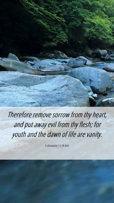 Picture 06 - Ecclesiastes 11:10 ASV Mobile Phone Wallpaper - Therefore remove sorrow from thy heart, and put - Mobile Bible Verse Wallpaper