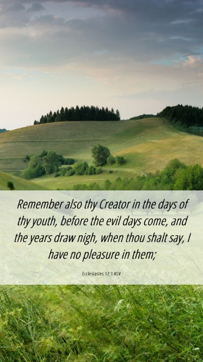 Picture 06 - Ecclesiastes 12:1 ASV Mobile Phone Wallpaper - Remember also thy Creator in the days of thy - Mobile Bible Verse Wallpaper