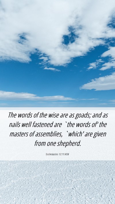 Picture 06 - Ecclesiastes 12:11 ASV Mobile Phone Wallpaper - The words of the wise are as goads; and as nails - Mobile Bible Verse Wallpaper