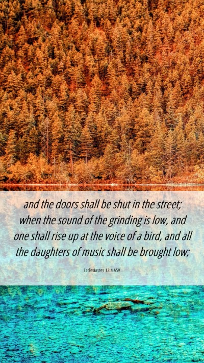 Picture 06 - Ecclesiastes 12:4 ASV Mobile Phone Wallpaper - and the doors shall be shut in the street; when - Mobile Bible Verse Wallpaper