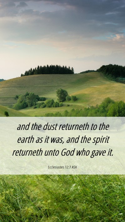 Picture 06 - Ecclesiastes 12:7 ASV Mobile Phone Wallpaper - and the dust returneth to the earth as it was, - Mobile Bible Verse Wallpaper