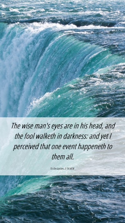 Picture 06 - Ecclesiastes 2:14 ASV Mobile Phone Wallpaper - The wise man's eyes are in his head, and the fool - Mobile Bible Verse Wallpaper