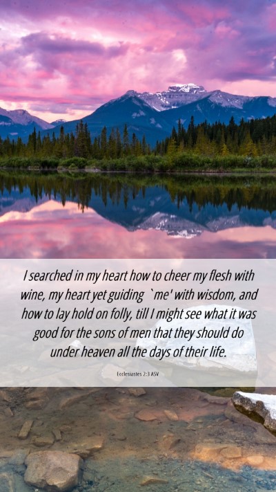 Picture 06 - Ecclesiastes 2:3 ASV Mobile Phone Wallpaper - I searched in my heart how to cheer my flesh with - Mobile Bible Verse Wallpaper