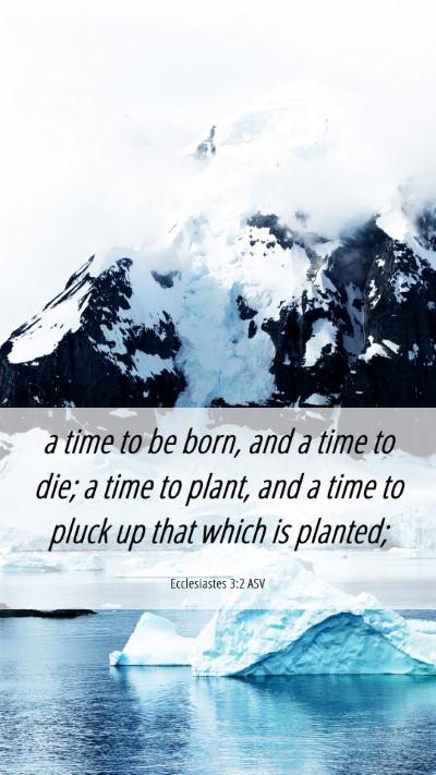 Picture 06 - Ecclesiastes 3:2 ASV Mobile Phone Wallpaper - a time to be born, and a time to die; a time to - Mobile Bible Verse Wallpaper
