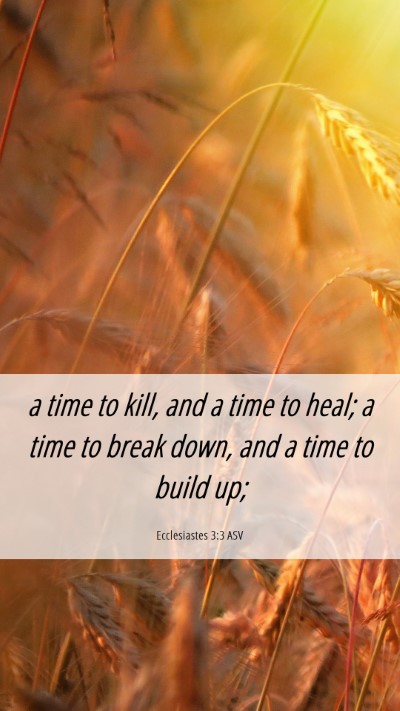 Picture 06 - Ecclesiastes 3:3 ASV Mobile Phone Wallpaper - a time to kill, and a time to heal; a time to - Mobile Bible Verse Wallpaper