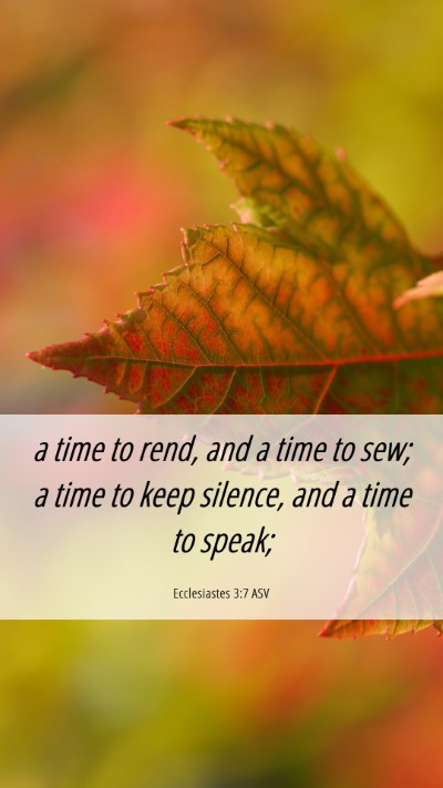 Picture 06 - Ecclesiastes 3:7 ASV Mobile Phone Wallpaper - a time to rend, and a time to sew; a time to keep - Mobile Bible Verse Wallpaper