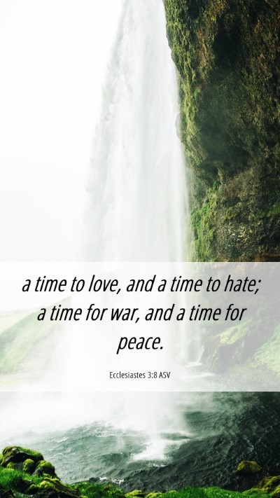 Picture 06 - Ecclesiastes 3:8 ASV Mobile Phone Wallpaper - a time to love, and a time to hate; a time for - Mobile Bible Verse Wallpaper