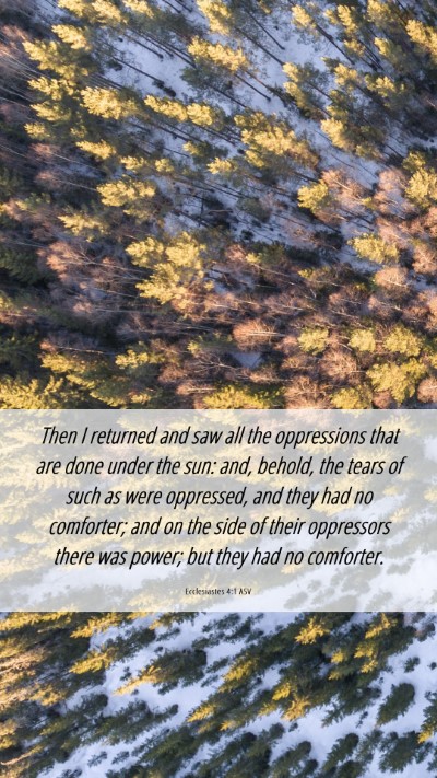 Picture 06 - Ecclesiastes 4:1 ASV Mobile Phone Wallpaper - Then I returned and saw all the oppressions that - Mobile Bible Verse Wallpaper