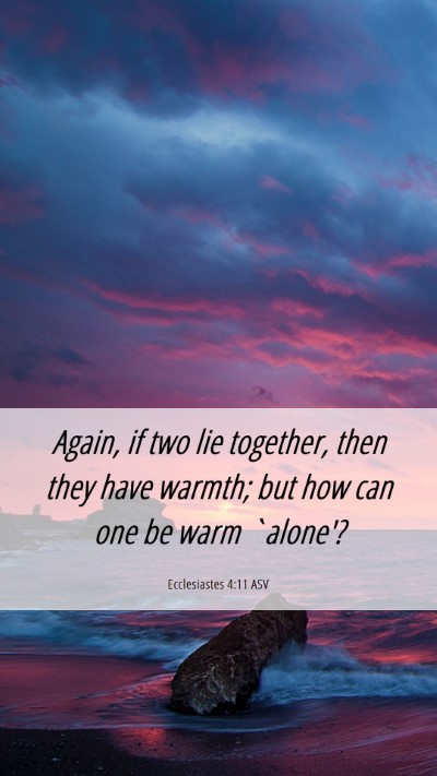 Picture 06 - Ecclesiastes 4:11 ASV Mobile Phone Wallpaper - Again, if two lie together, then they have - Mobile Bible Verse Wallpaper