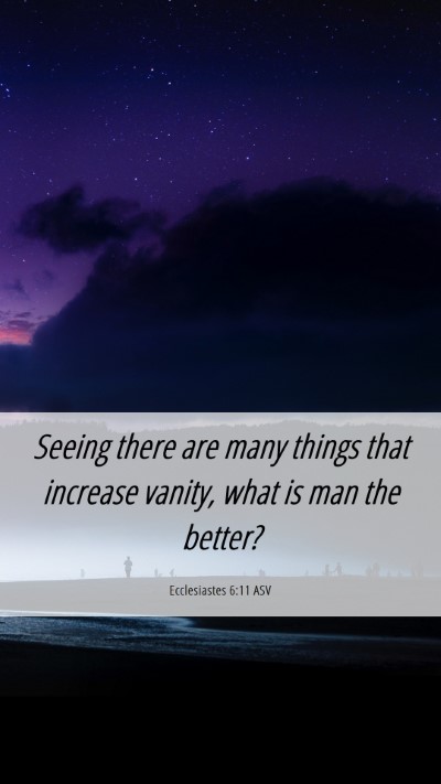 Picture 06 - Ecclesiastes 6:11 ASV Mobile Phone Wallpaper - Seeing there are many things that increase - Mobile Bible Verse Wallpaper