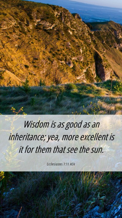 Picture 06 - Ecclesiastes 7:11 ASV Mobile Phone Wallpaper - Wisdom is as good as an inheritance; yea, more - Mobile Bible Verse Wallpaper