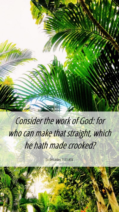 Picture 06 - Ecclesiastes 7:13 ASV Mobile Phone Wallpaper - Consider the work of God: for who can make that - Mobile Bible Verse Wallpaper