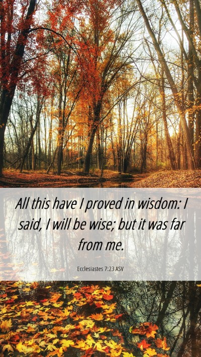 Picture 06 - Ecclesiastes 7:23 ASV Mobile Phone Wallpaper - All this have I proved in wisdom: I said, I will - Mobile Bible Verse Wallpaper