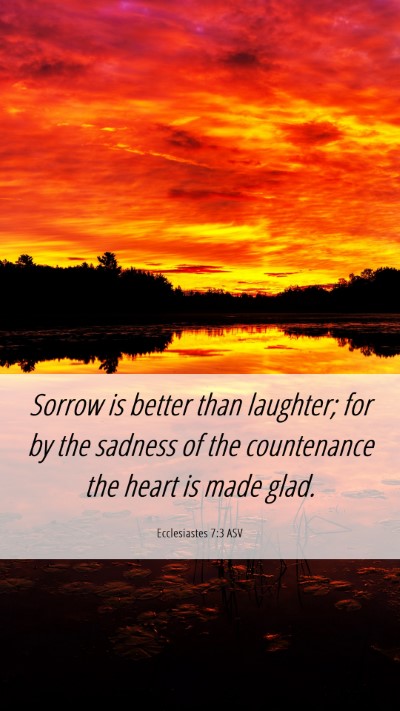 Picture 06 - Ecclesiastes 7:3 ASV Mobile Phone Wallpaper - Sorrow is better than laughter; for by the - Mobile Bible Verse Wallpaper