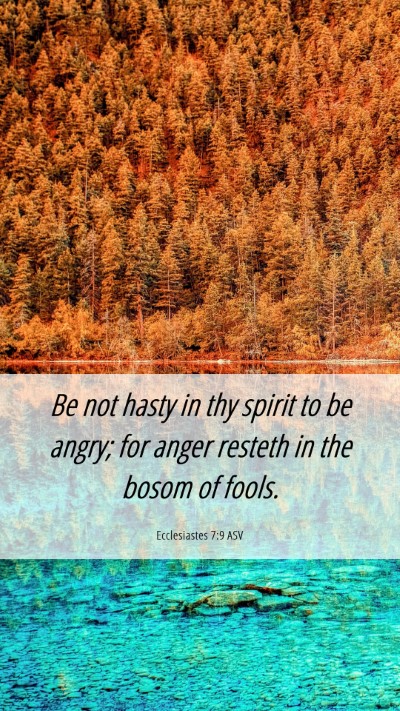 Picture 06 - Ecclesiastes 7:9 ASV Mobile Phone Wallpaper - Be not hasty in thy spirit to be angry; for anger - Mobile Bible Verse Wallpaper