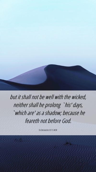 Picture 06 - Ecclesiastes 8:13 ASV Mobile Phone Wallpaper - but it shall not be well with the wicked, neither - Mobile Bible Verse Wallpaper