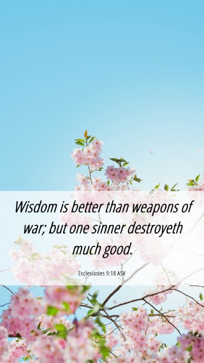 Picture 06 - Ecclesiastes 9:18 ASV Mobile Phone Wallpaper - Wisdom is better than weapons of war; but one - Mobile Bible Verse Wallpaper