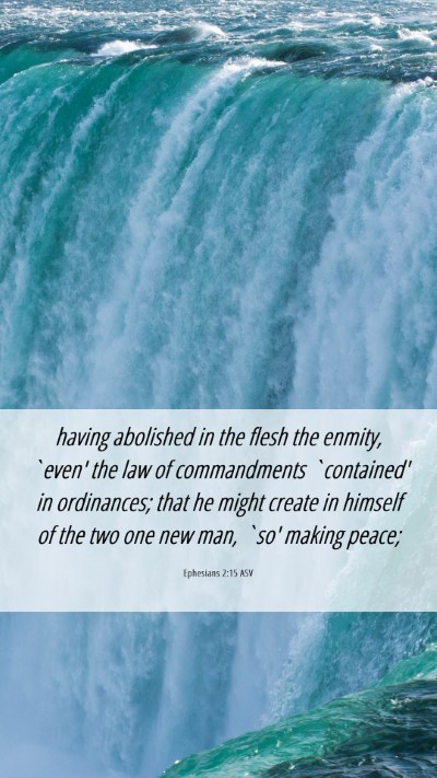 Picture 06 - Ephesians 2:15 ASV Mobile Phone Wallpaper - having abolished in the flesh the enmity, `even' - Mobile Bible Verse Wallpaper