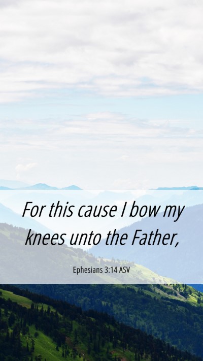 Picture 06 - Ephesians 3:14 ASV Mobile Phone Wallpaper - For this cause I bow my knees unto the - Mobile Bible Verse Wallpaper