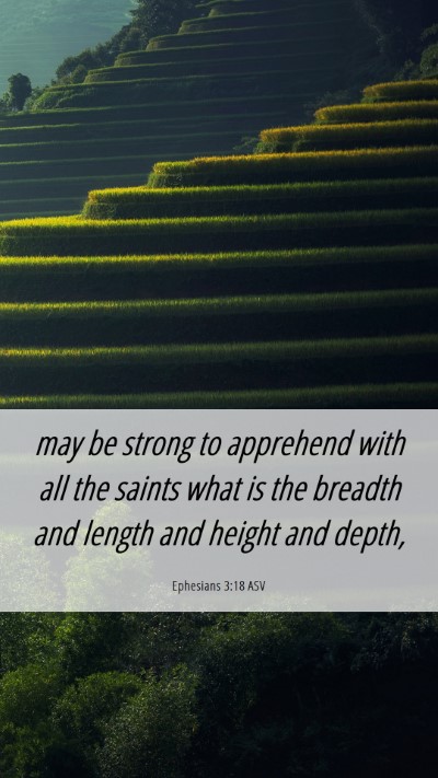 Picture 06 - Ephesians 3:18 ASV Mobile Phone Wallpaper - may be strong to apprehend with all the saints - Mobile Bible Verse Wallpaper