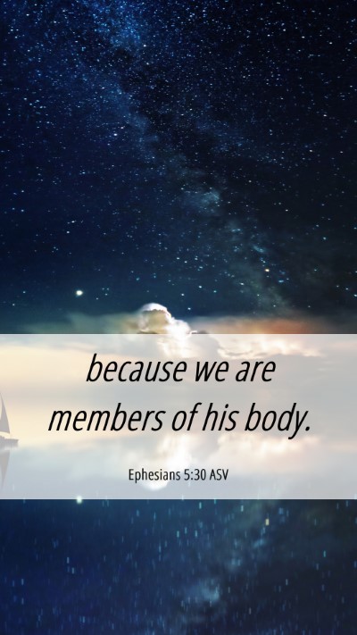 Picture 06 - Ephesians 5:30 ASV Mobile Phone Wallpaper - because we are members of his - Mobile Bible Verse Wallpaper