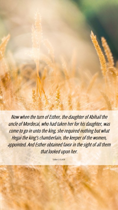 Picture 06 - Esther 2:15 ASV Mobile Phone Wallpaper - Now when the turn of Esther, the daughter of - Mobile Bible Verse Wallpaper